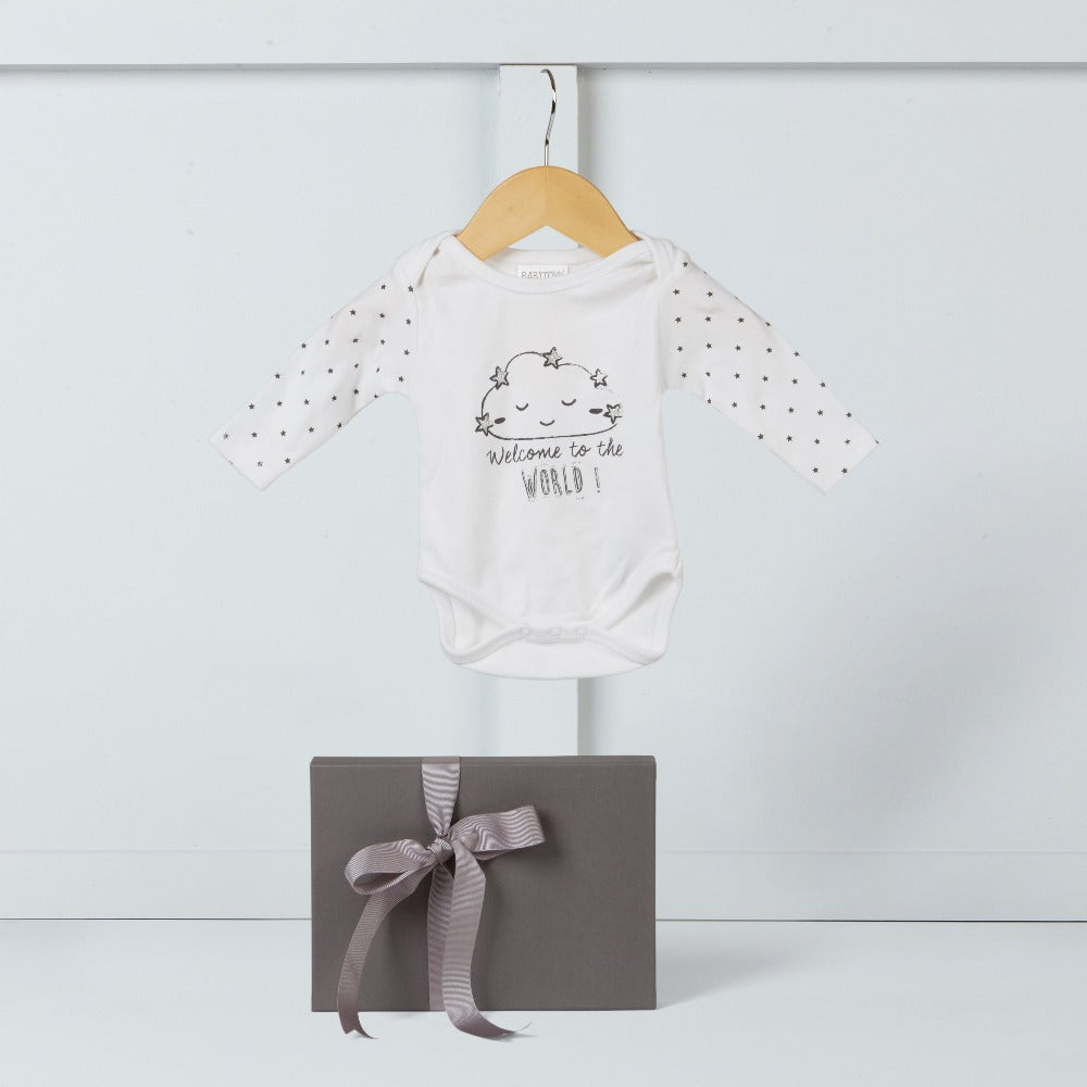 Newborn baby milestone bodysuit | Hamper Lounge