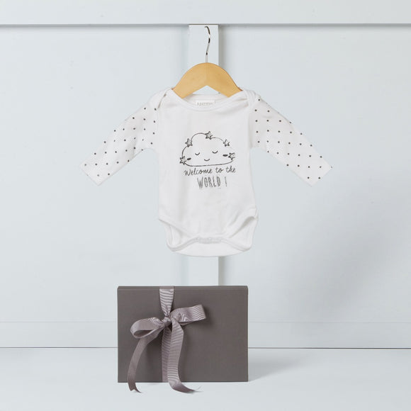 Baby Milestone Bodysuit Gift