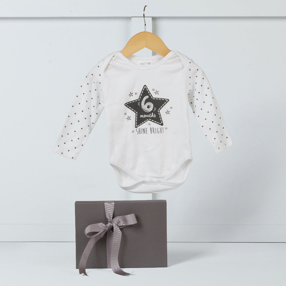 6 month baby milestone bodysuit | Hamper Lounge